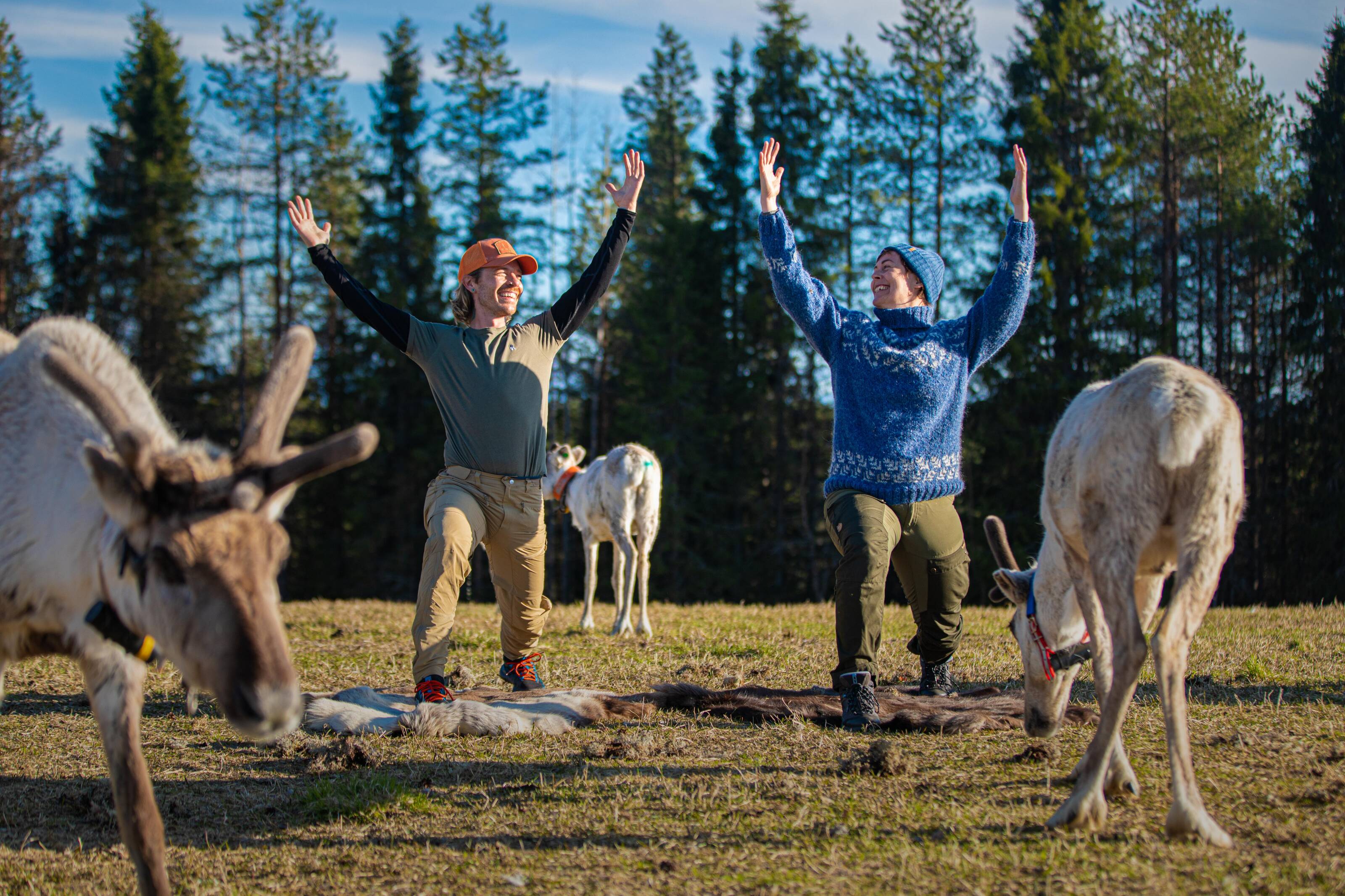 Two people doing reindeer yoga in Finland.
